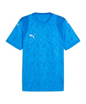 puma-teamcup-trikot-blau-f02-706272-teamsport_front.png