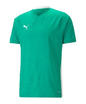 puma-teamcup-trikot-gruen-f05-705370-teamsport_front.png