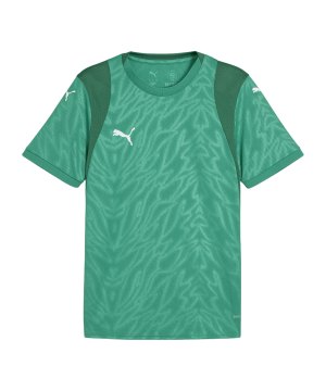 puma-teamcup-trikot-gruen-f05-706272-teamsport_front.png