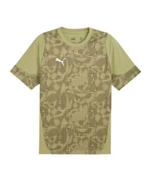 puma-teamcup-trikot-gruen-f40-659167-teamsport_front.png