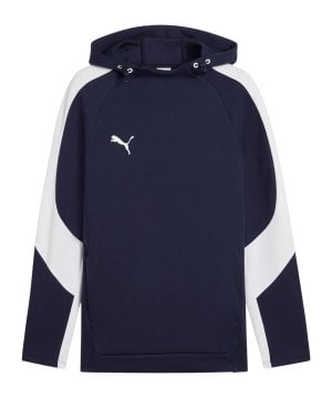 puma-teamevostripe-hoody-blau-f06-659954-teamsport_front.png