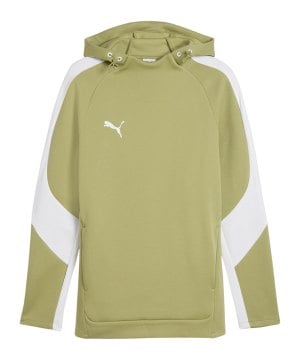puma-teamevostripe-hoody-gruen-f40-659954-teamsport_front.png