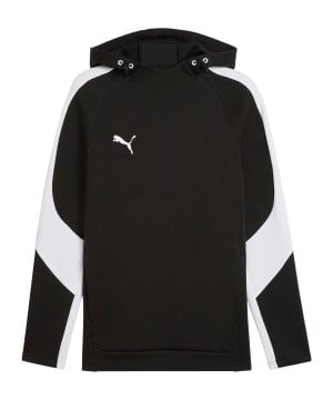 puma-teamevostripe-hoody-schwarz-f03-659954-teamsport_front.png