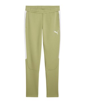 puma-teamevostripe-hose-gruen-f40-659948-teamsport_front.png