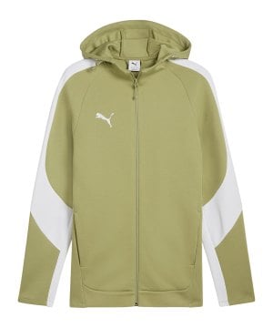 puma-teamevostripe-kapuzenjacke-gruen-f40-659947-teamsport_front.png