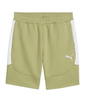 puma-teamevostripe-short-gruen-f40-659951-teamsport_front.png