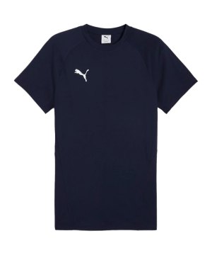 puma-teamevostripe-t-shirt-blau-f06-659953-teamsport_front.png