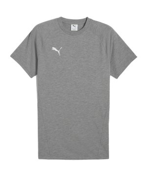 puma-teamevostripe-t-shirt-grau-f033-659953-teamsport_front.png