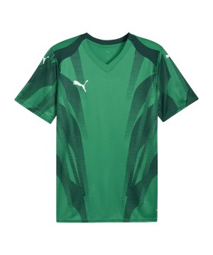 puma-teamfinal-graphic-trikot-gruen-f05-706654-teamsport_front.png