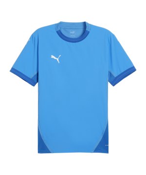 puma-teamfinal-trikot-blau-weiss-blau-f02-705737-teamsport_front.png