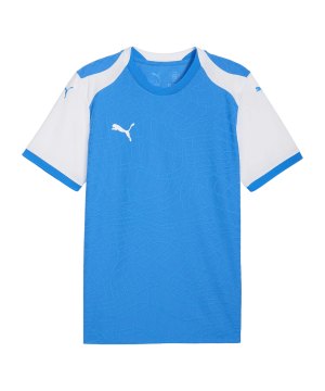 puma-teamfinal26-knit-trikot-blau-f02-706651-teamsport_front.png
