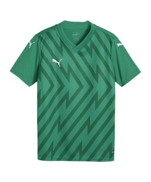 puma-teamglory-trikot-kids-gruen-weiss-gruen-f05-705741-teamsport_front.png