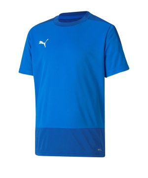 puma-teamgoal-23-training-trikot-kids-blau-f02-fussball-teamsport-textil-trikots-656569.png