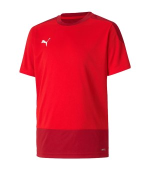 puma-teamgoal-23-training-trikot-kids-rot-f01-fussball-teamsport-textil-trikots-656569.png