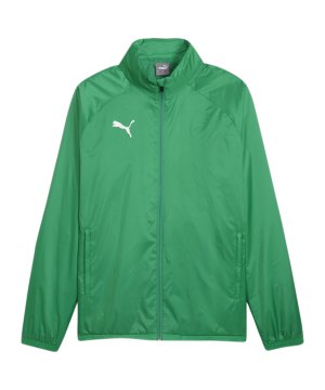 puma-teamgoal-allwetterjacke-gruen-weiss-f05-659038-teamsport_front.png