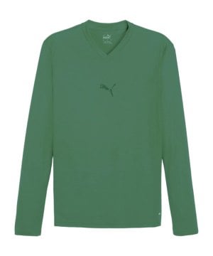 puma-teamgoal-baselayer-longsleeve-gruen-f05-658777-teamsport_front.png