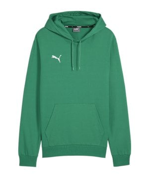 puma-teamgoal-casuals-hoody-gruen-f05-658618-teamsport_front.png