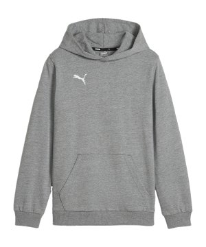 puma-teamgoal-casuals-hoody-kids-grau-f33-658619-teamsport_front.png