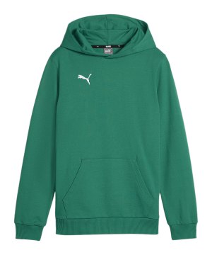 puma-teamgoal-casuals-hoody-kids-gruen-f05-658619-teamsport_front.png