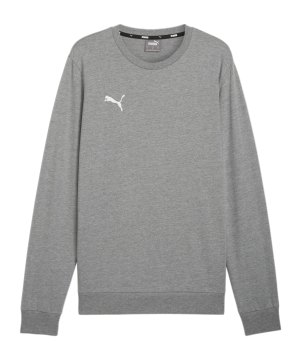 puma-teamgoal-casuals-sweatshirt-grau-f33-658592-teamsport_front.png