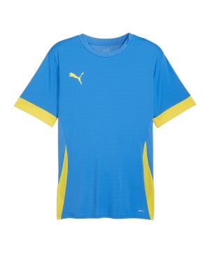 puma-teamgoal-matchday-trikot-blau-gelb-f16-705747-teamsport_front.png