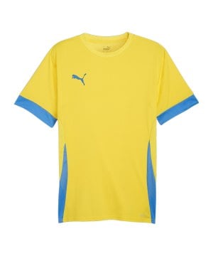 puma-teamgoal-matchday-trikot-gelb-blau-f17-705747-teamsport_front.png