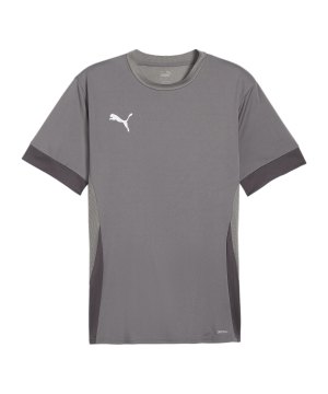 puma-teamgoal-matchday-trikot-grau-weiss-f13-705747-teamsport_front.png