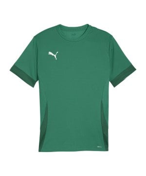 puma-teamgoal-matchday-trikot-gruen-weiss-f05-705747-teamsport_front.png
