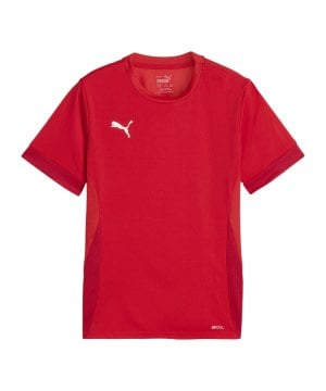 puma-teamgoal-matchday-trikot-kids-rot-weiss-f01-705748-teamsport_front.png