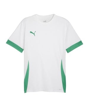 puma-teamgoal-matchday-trikot-weiss-gruen-f15-705747-teamsport_front.png