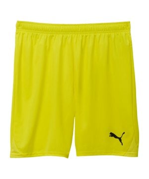 puma-teamgoal-short-gelb-f23-705752-teamsport_front.png