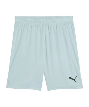 puma-teamgoal-short-gruen-f41-705752-teamsport_front.png