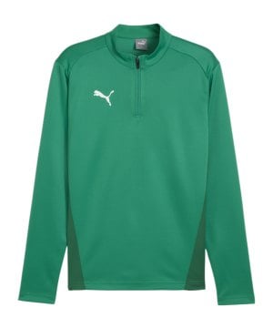 puma-teamgoal-training-1-4-zip-sweatshirt-gruen-f05-658629-teamsport_front.png