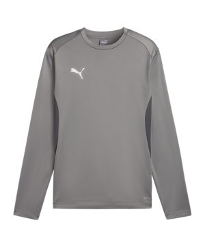 puma-teamgoal-training-sweatshirt-grau-f13-658649-teamsport_front.png