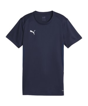 puma-teamgoal-trikot-damen-blau-f06-658638-teamsport_front.png