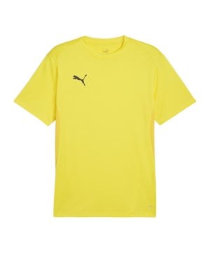 puma-teamgoal-trikot-gelb-f07-658636-teamsport_front.png