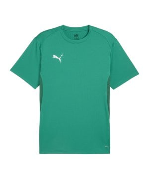 puma-teamgoal-trikot-gruen-f05-658636-teamsport_front.png