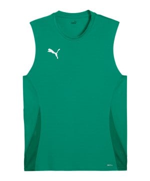 puma-teamgoal-trikot-gruen-f05-705913-teamsport_front.png