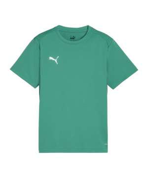 puma-teamgoal-trikot-kids-gruen-f05-658637-teamsport_front.png