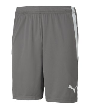 puma-teamliga-short-grau-weiss-f13-704924-teamsport_front.png