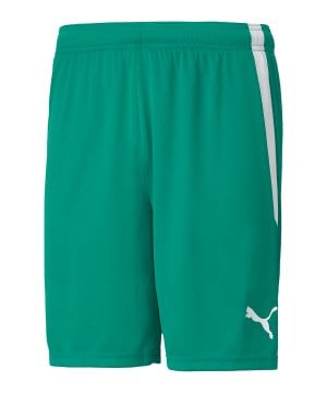 puma-teamliga-short-gruen-weiss-f05-704924-teamsport_front.png