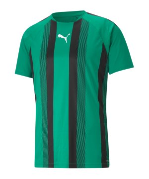 puma-teamliga-striped-trikot-gruen-schwarz-f05-704920-teamsport_front.png