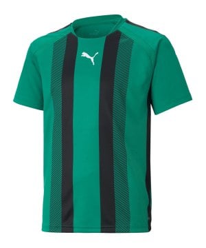 puma-teamliga-striped-trikot-kids-gruen-schwarz-f05-704927-teamsport_front.png