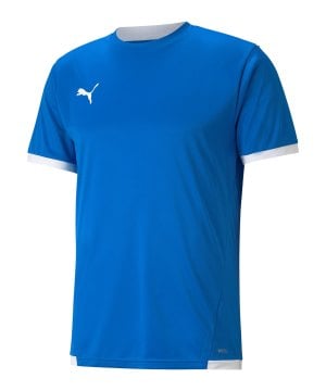 puma-teamliga-trikot-blau-f02-704917-teamsport_front.png
