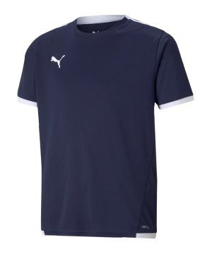 puma-teamliga-trikot-kids-blau-f06-704925-teamsport_front.png