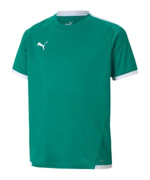puma-teamliga-trikot-kids-gruen-f05-704925-teamsport_front.png