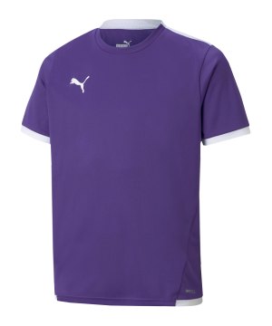 puma-teamliga-trikot-kids-lila-f10-704925-teamsport_front.png