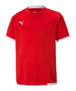 puma-teamliga-trikot-kids-rot-f01-704925-teamsport_front.png