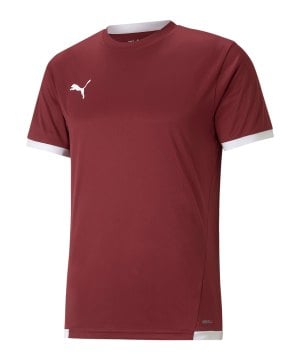puma-teamliga-trikot-rot-f09-704917-teamsport_front.png