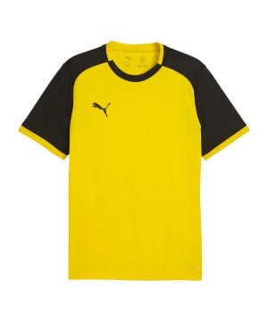 puma-teamliga26-matchday-trikot-gelb-f07-706544-teamsport_front.png
